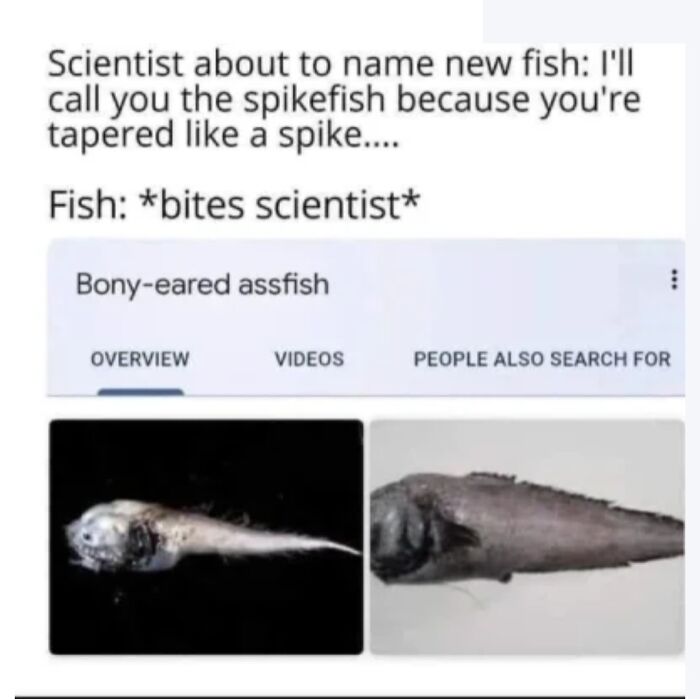 Hey Pandas, Send The Weirdest Things You Have Screenshots Of (Closed)