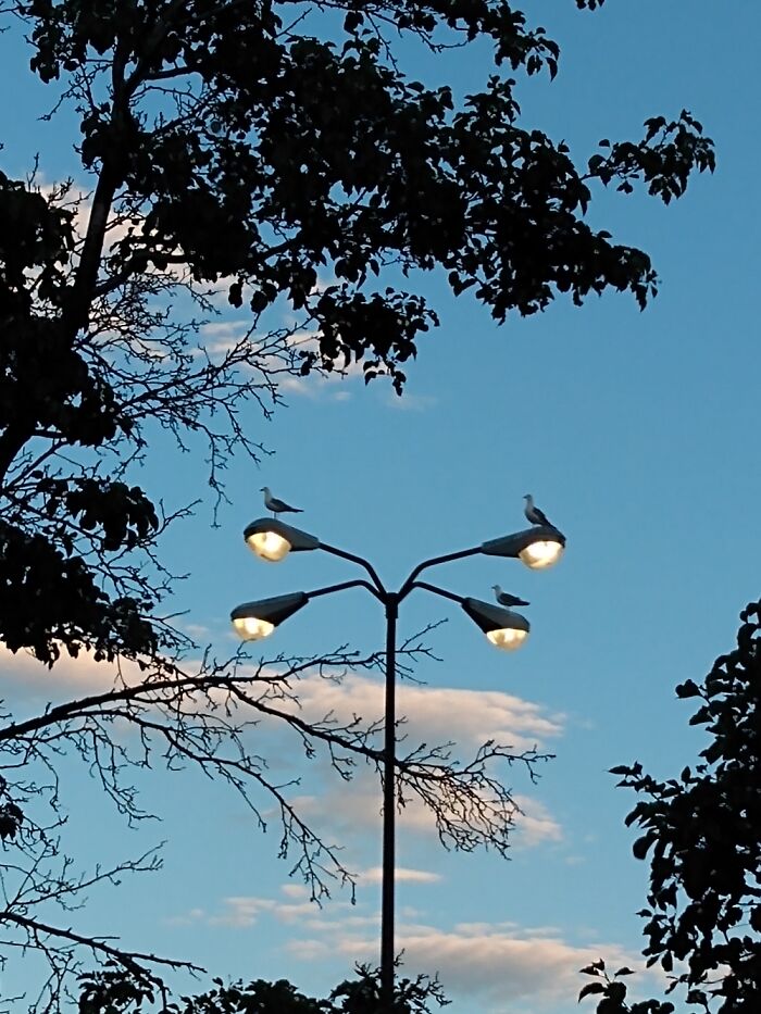 Hey Pandas, Send The Weirdest Things You Have Screenshots Of (Closed)