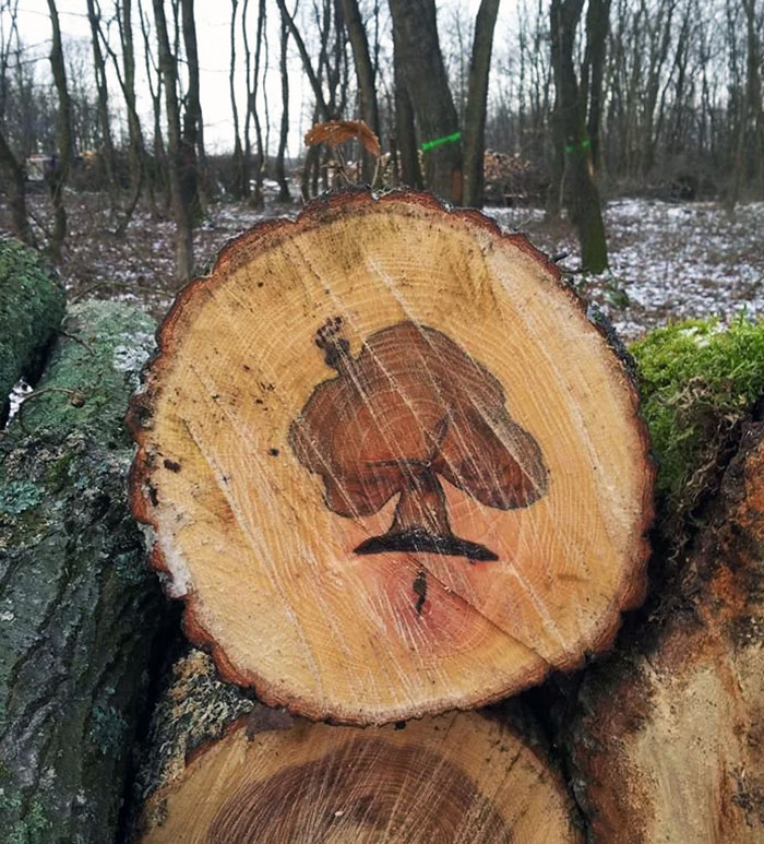 50 Times People Had To Look Twice At Things To Realize What They Were (New Pics) 50 Times People Had To Look Twice At Things To Realize What They Were (New Pics)