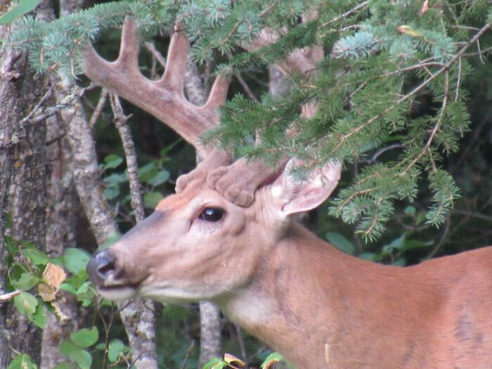 50 Times People Had To Look Twice At Things To Realize What They Were (New Pics) 50 Times People Had To Look Twice At Things To Realize What They Were (New Pics)