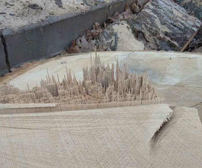 50 Times People Had To Look Twice At Things To Realize What They Were (New Pics) 50 Times People Had To Look Twice At Things To Realize What They Were (New Pics)