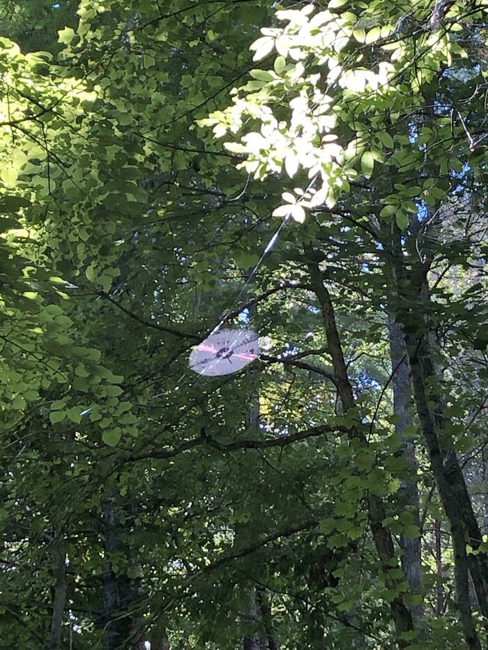 50 Times People Had To Look Twice At Things To Realize What They Were (New Pics) 50 Times People Had To Look Twice At Things To Realize What They Were (New Pics)