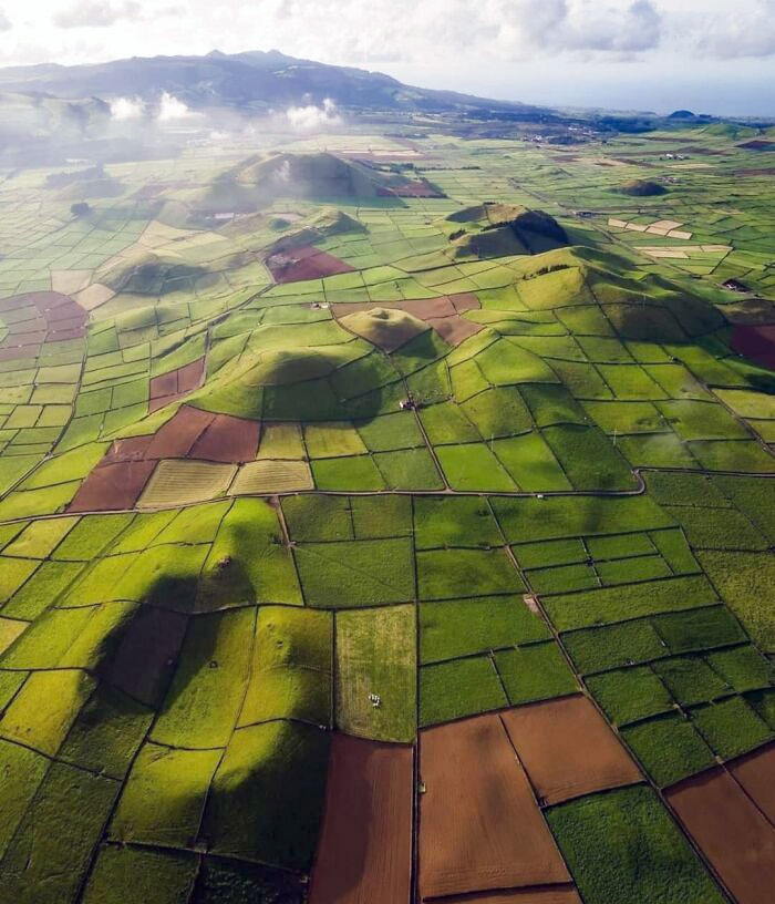 50 Times People Had To Look Twice At Things To Realize What They Were (New Pics) 50 Times People Had To Look Twice At Things To Realize What They Were (New Pics)