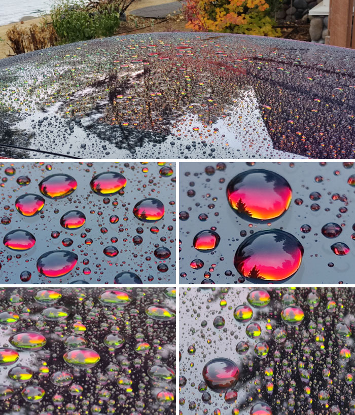 50 Times People Had To Look Twice At Things To Realize What They Were (New Pics) 50 Times People Had To Look Twice At Things To Realize What They Were (New Pics)