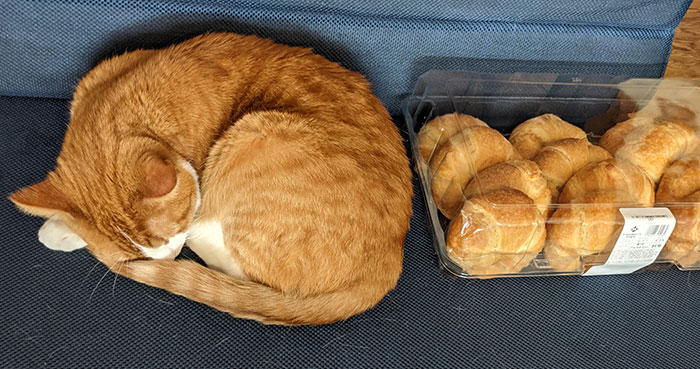 50 Times People Had To Look Twice At Things To Realize What They Were (New Pics) 50 Times People Had To Look Twice At Things To Realize What They Were (New Pics)