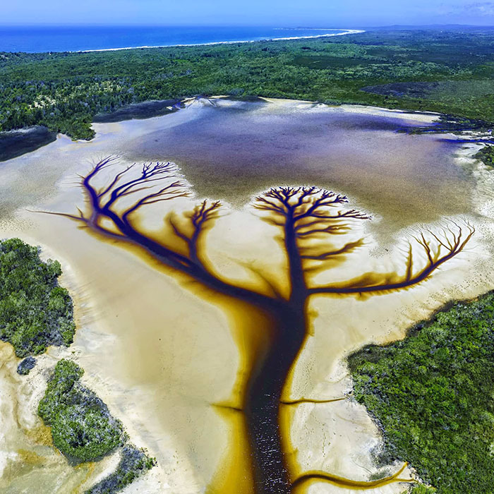 50 Times People Had To Look Twice At Things To Realize What They Were (New Pics) 50 Times People Had To Look Twice At Things To Realize What They Were (New Pics)