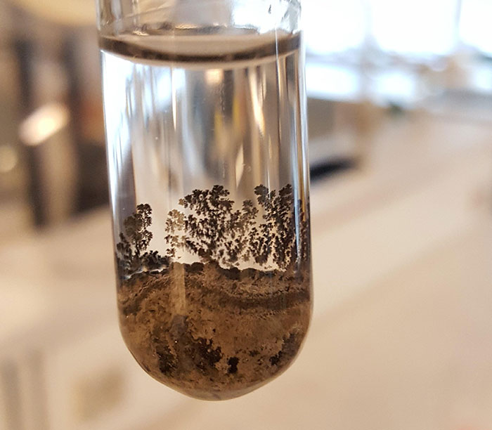 50 Times People Had To Look Twice At Things To Realize What They Were (New Pics) 50 Times People Had To Look Twice At Things To Realize What They Were (New Pics)