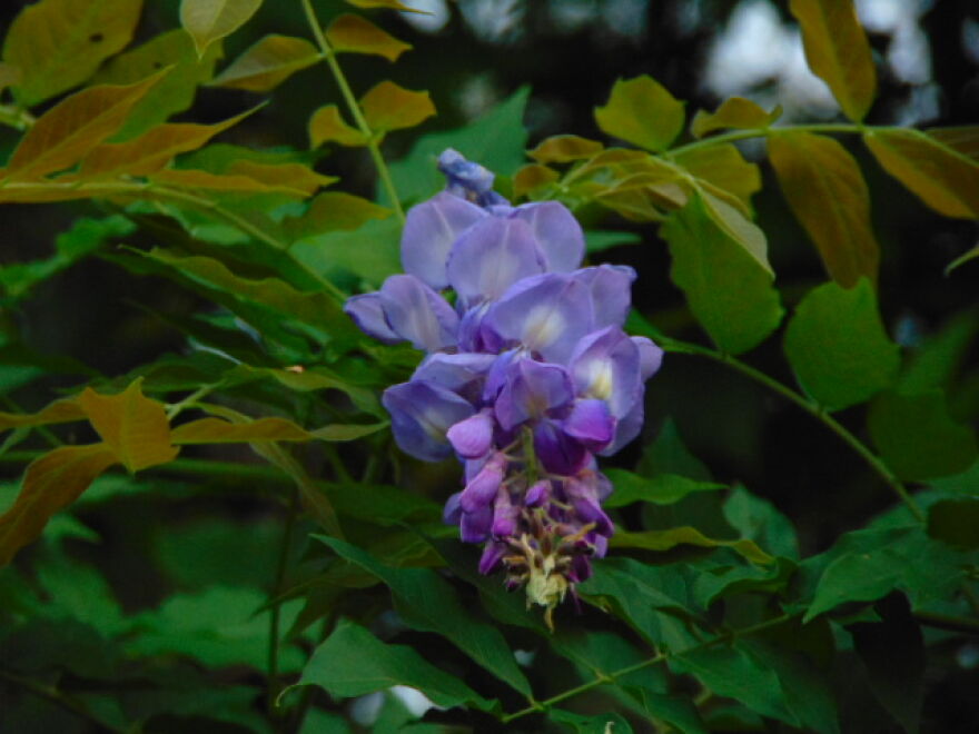 Top 10 Nature Photos By Me Top 10 Nature Photos By Me