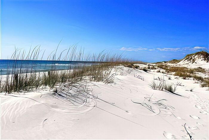 Hey Pandas, Post A Beach Picture