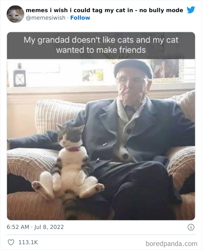 50 Hilarious Posts From The “Memes I Wish I Could Tag My Cat In” Twitter Account (New Pics) 50 Hilarious Posts From The “Memes I Wish I Could Tag My Cat In” Twitter Account (New Pics)