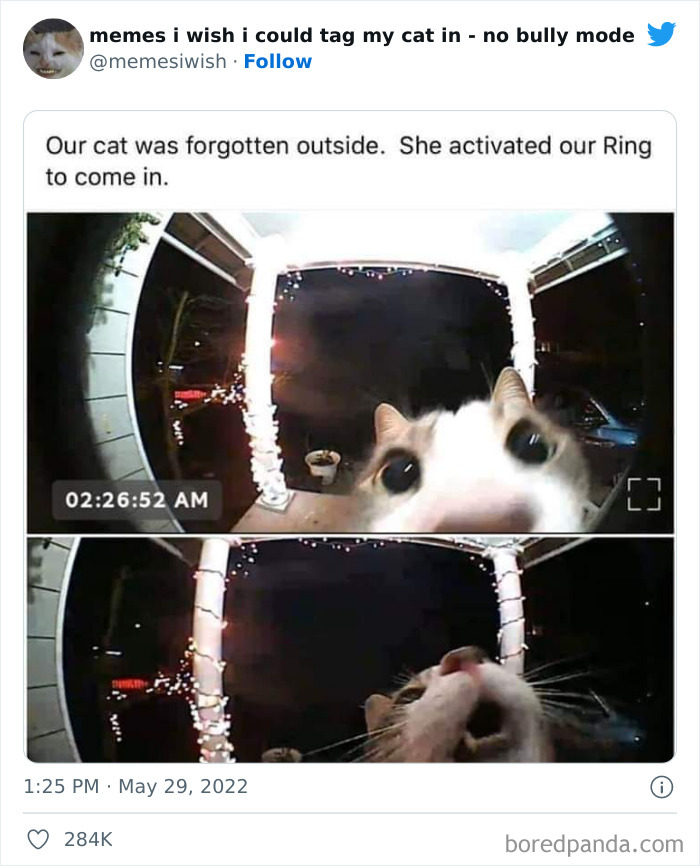 50 Hilarious Posts From The “Memes I Wish I Could Tag My Cat In” Twitter Account (New Pics) 50 Hilarious Posts From The “Memes I Wish I Could Tag My Cat In” Twitter Account (New Pics)
