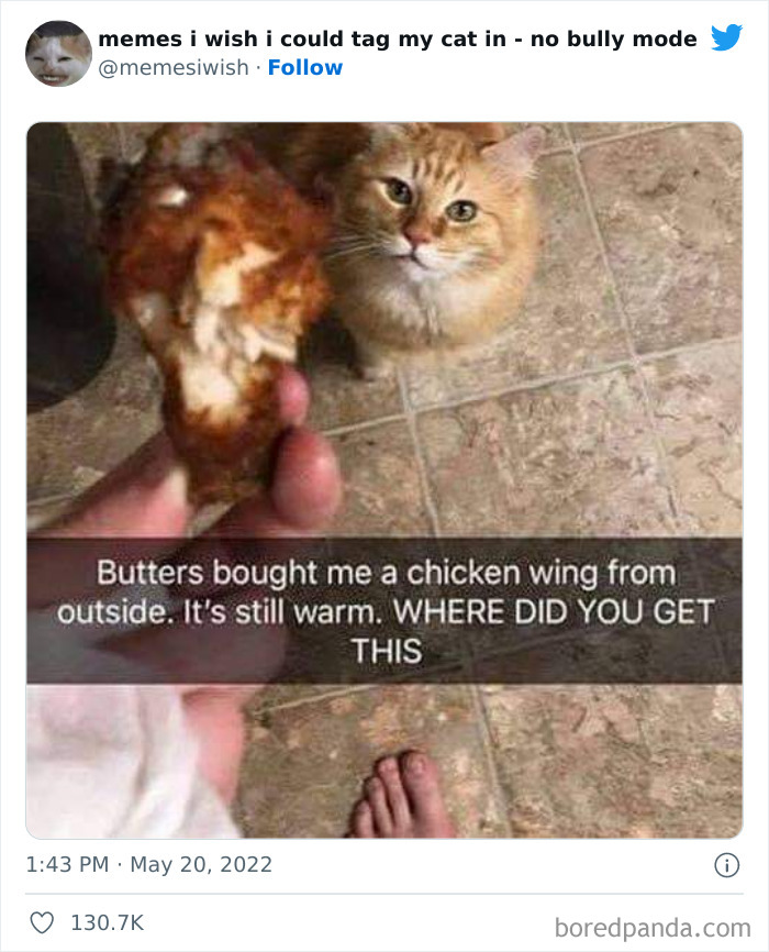 50 Hilarious Posts From The “Memes I Wish I Could Tag My Cat In” Twitter Account (New Pics) 50 Hilarious Posts From The “Memes I Wish I Could Tag My Cat In” Twitter Account (New Pics)