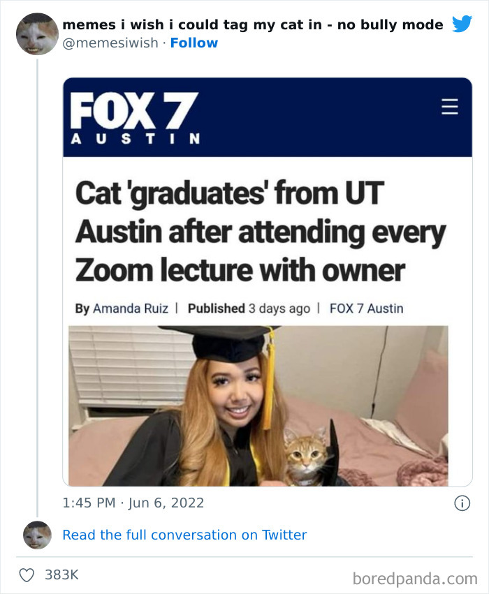 50 Hilarious Posts From The “Memes I Wish I Could Tag My Cat In” Twitter Account (New Pics) 50 Hilarious Posts From The “Memes I Wish I Could Tag My Cat In” Twitter Account (New Pics)