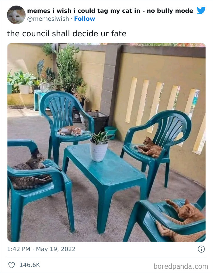 50 Hilarious Posts From The “Memes I Wish I Could Tag My Cat In” Twitter Account (New Pics) 50 Hilarious Posts From The “Memes I Wish I Could Tag My Cat In” Twitter Account (New Pics)