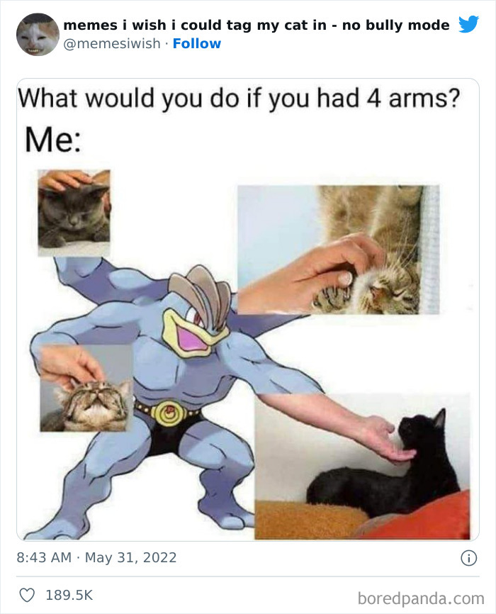 50 Hilarious Posts From The “Memes I Wish I Could Tag My Cat In” Twitter Account (New Pics) 50 Hilarious Posts From The “Memes I Wish I Could Tag My Cat In” Twitter Account (New Pics)