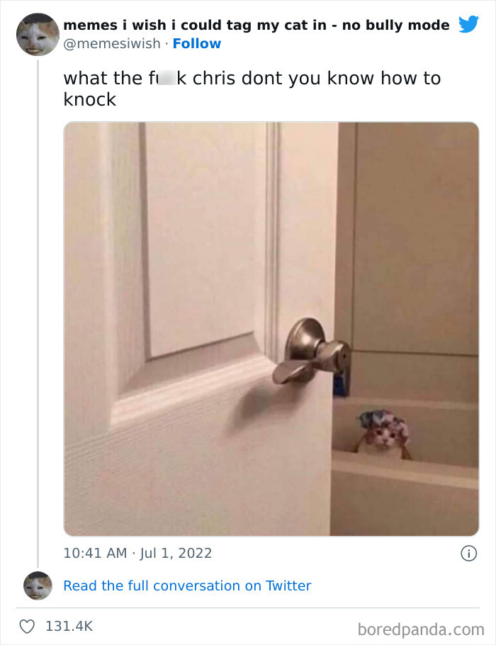 50 Hilarious Posts From The “Memes I Wish I Could Tag My Cat In” Twitter Account (New Pics) 50 Hilarious Posts From The “Memes I Wish I Could Tag My Cat In” Twitter Account (New Pics)