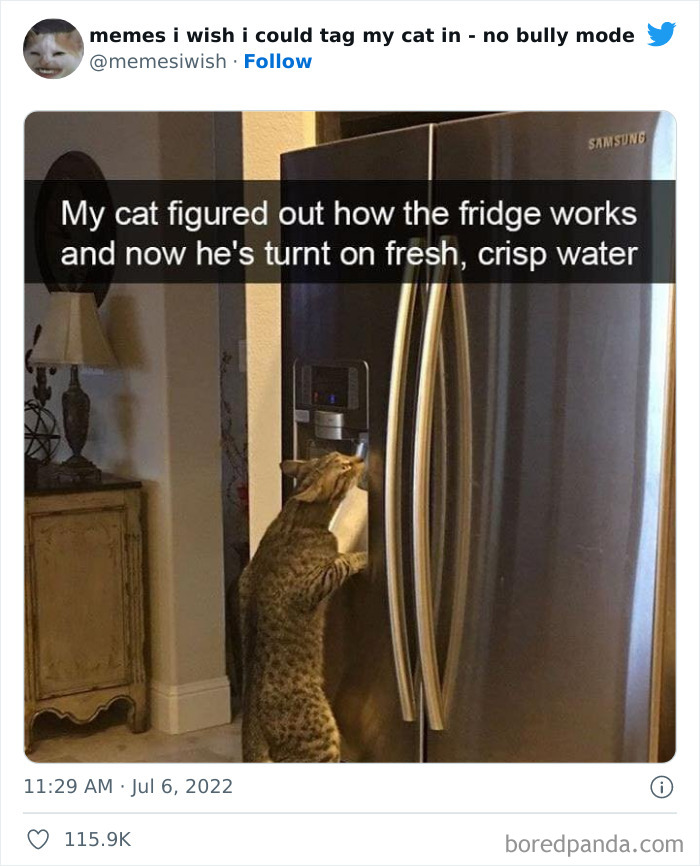 50 Hilarious Posts From The “Memes I Wish I Could Tag My Cat In” Twitter Account (New Pics) 50 Hilarious Posts From The “Memes I Wish I Could Tag My Cat In” Twitter Account (New Pics)