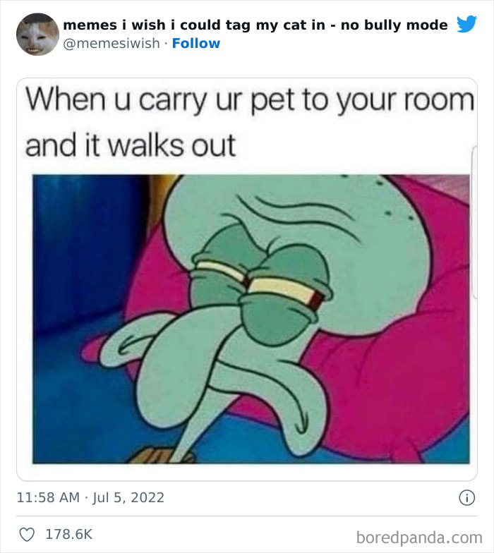50 Hilarious Posts From The “Memes I Wish I Could Tag My Cat In” Twitter Account (New Pics) 50 Hilarious Posts From The “Memes I Wish I Could Tag My Cat In” Twitter Account (New Pics)