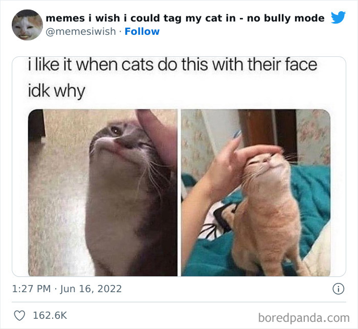 50 Hilarious Posts From The “Memes I Wish I Could Tag My Cat In” Twitter Account (New Pics) 50 Hilarious Posts From The “Memes I Wish I Could Tag My Cat In” Twitter Account (New Pics)