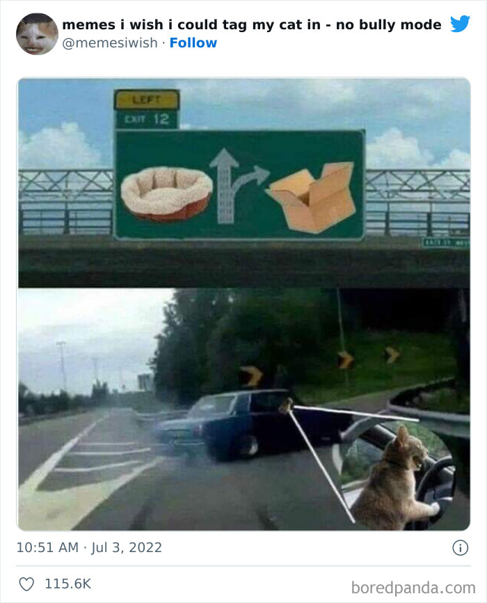 50 Hilarious Posts From The “Memes I Wish I Could Tag My Cat In” Twitter Account (New Pics) 50 Hilarious Posts From The “Memes I Wish I Could Tag My Cat In” Twitter Account (New Pics)
