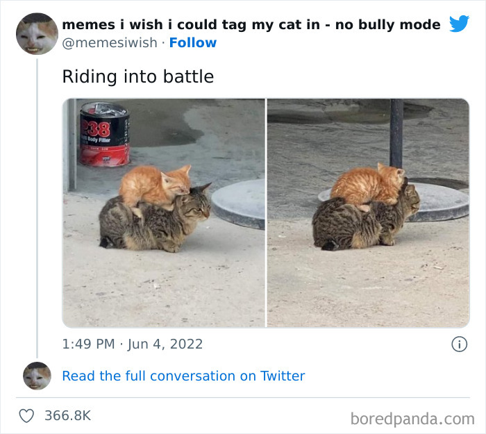50 Hilarious Posts From The “Memes I Wish I Could Tag My Cat In” Twitter Account (New Pics) 50 Hilarious Posts From The “Memes I Wish I Could Tag My Cat In” Twitter Account (New Pics)