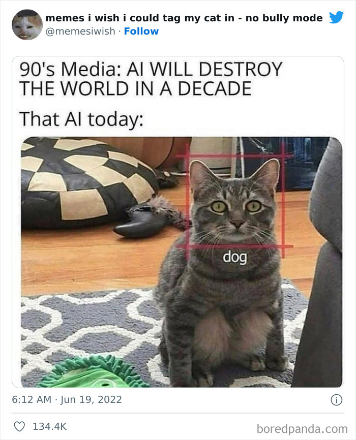 50 Hilarious Posts From The “Memes I Wish I Could Tag My Cat In” Twitter Account (New Pics) 50 Hilarious Posts From The “Memes I Wish I Could Tag My Cat In” Twitter Account (New Pics)