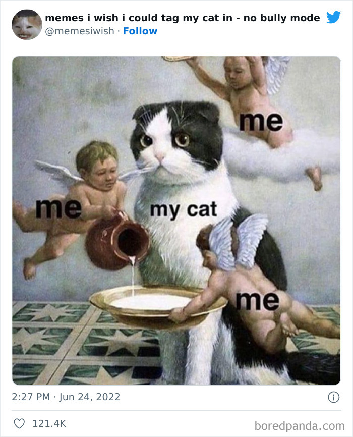 50 Hilarious Posts From The “Memes I Wish I Could Tag My Cat In” Twitter Account (New Pics) 50 Hilarious Posts From The “Memes I Wish I Could Tag My Cat In” Twitter Account (New Pics)