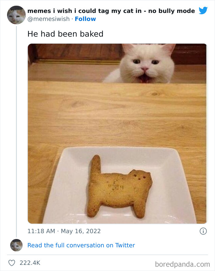 50 Hilarious Posts From The “Memes I Wish I Could Tag My Cat In” Twitter Account (New Pics) 50 Hilarious Posts From The “Memes I Wish I Could Tag My Cat In” Twitter Account (New Pics)