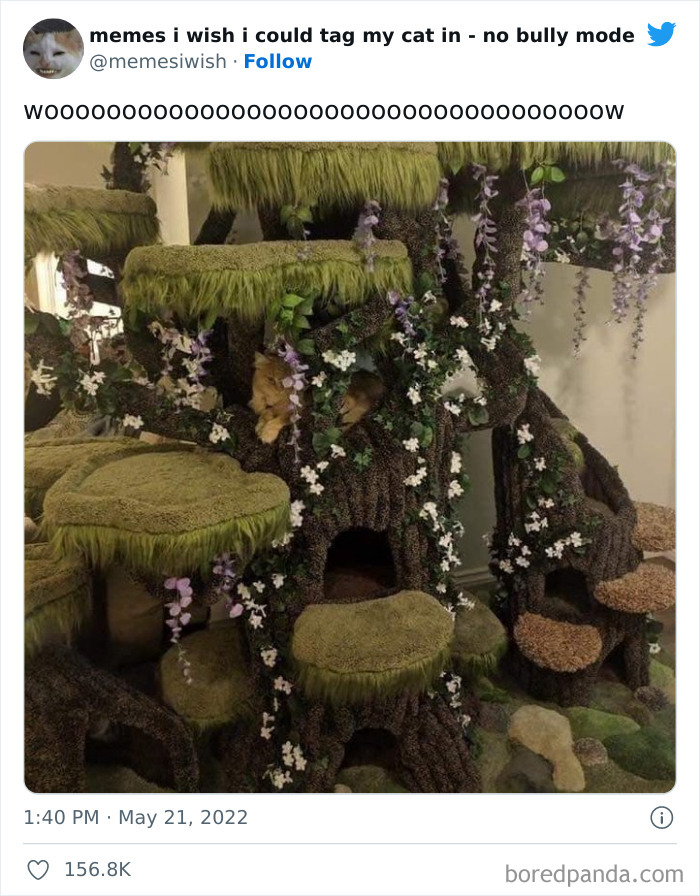 50 Hilarious Posts From The “Memes I Wish I Could Tag My Cat In” Twitter Account (New Pics) 50 Hilarious Posts From The “Memes I Wish I Could Tag My Cat In” Twitter Account (New Pics)