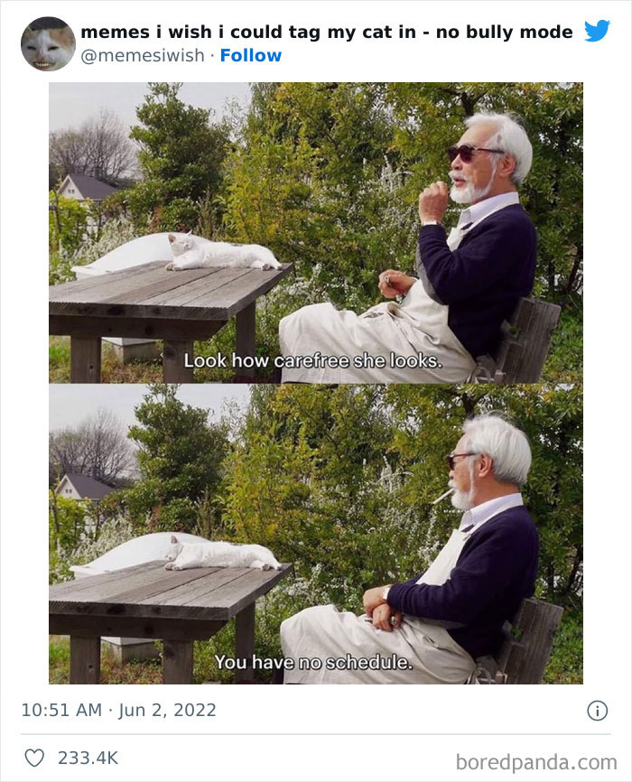 50 Hilarious Posts From The “Memes I Wish I Could Tag My Cat In” Twitter Account (New Pics) 50 Hilarious Posts From The “Memes I Wish I Could Tag My Cat In” Twitter Account (New Pics)