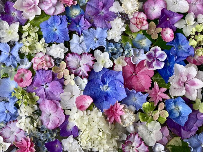 You’ll Find Me In The Garden (24 Pics)