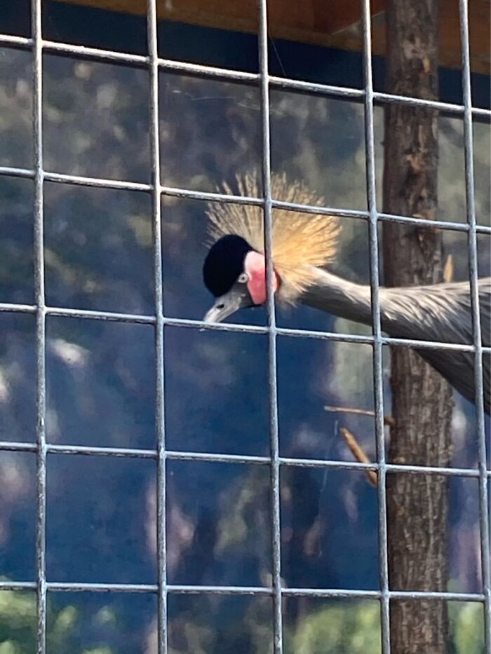 50 Times People Failed At Photographing Wildlife So Hilariously, They Just Had To Share These Pics Online (New Pics) 50 Times People Failed At Photographing Wildlife So Hilariously, They Just Had To Share These Pics Online (New Pics)