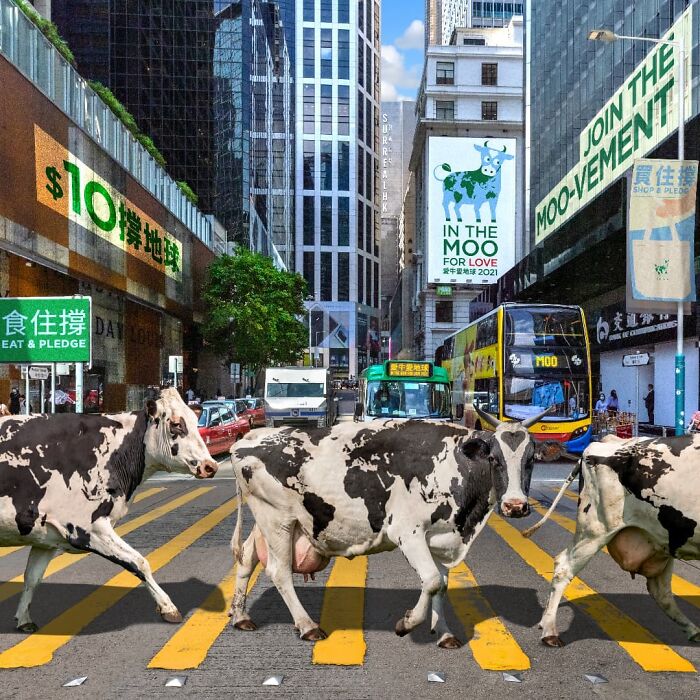 Artist Offers A New Perspective On Hong Kong Through His 60 Surreal Images (New Pics)