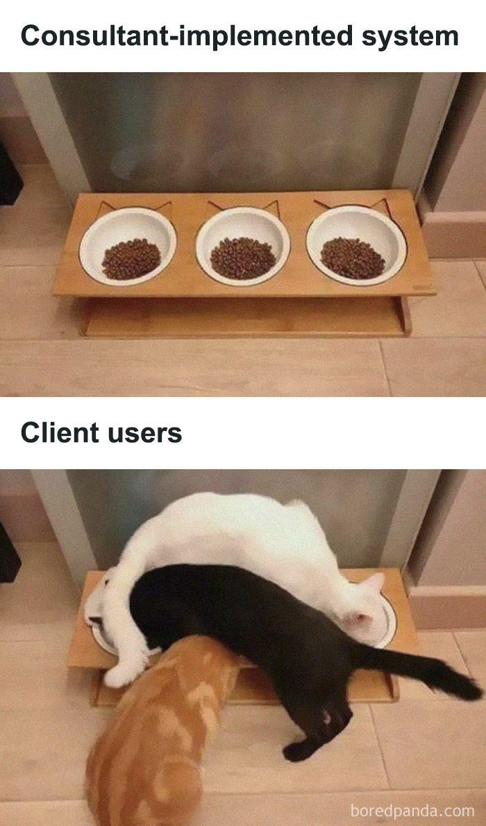 &#8220;Consulting Humor&#8221;: 35 Painful Yet Funny Work Memes That Might Remind You That You Need Some Time Off