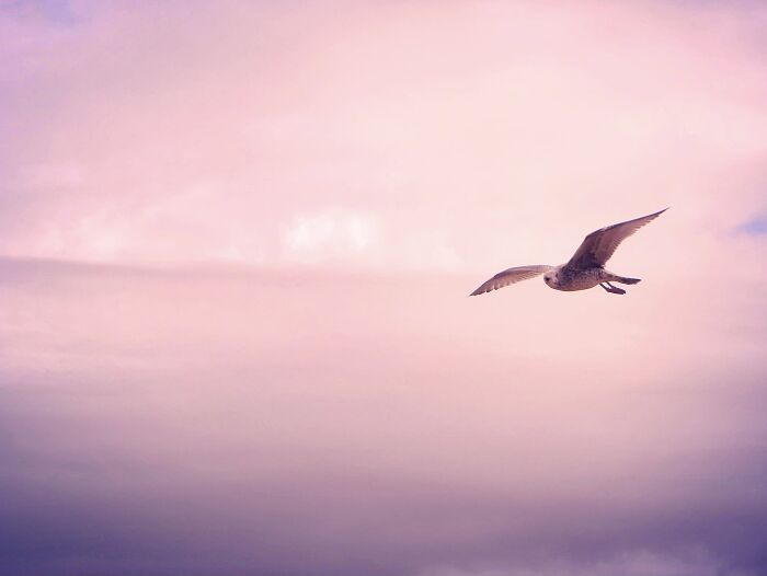 Hey Pandas, Share A Photo Of Whatever Makes You Happy Hey Pandas, Share A Photo Of Whatever Makes You Happy