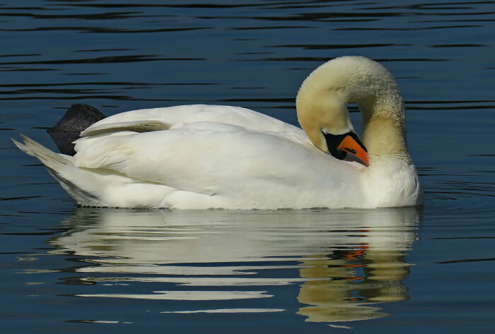 Hey Pandas, Share A Photo Of Whatever Makes You Happy Hey Pandas, Share A Photo Of Whatever Makes You Happy