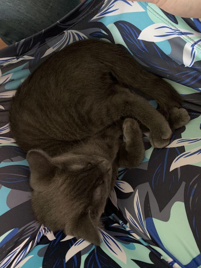 Hey Pandas, Share A Photo Of Whatever Makes You Happy Hey Pandas, Share A Photo Of Whatever Makes You Happy