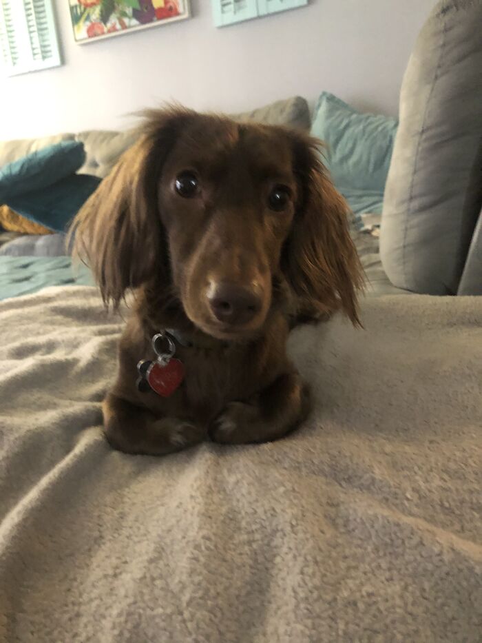 Hey Pandas, Share A Photo Of Whatever Makes You Happy Hey Pandas, Share A Photo Of Whatever Makes You Happy