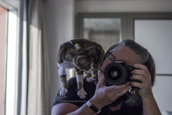 Hey Pandas, Share A Photo Of Whatever Makes You Happy Hey Pandas, Share A Photo Of Whatever Makes You Happy