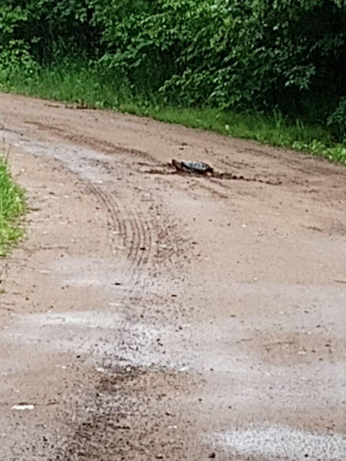 Hey Pandas, Share A Photo Of Whatever Makes You Happy Hey Pandas, Share A Photo Of Whatever Makes You Happy