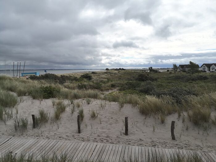 Hey Pandas, Share A Photo Of Whatever Makes You Happy Hey Pandas, Share A Photo Of Whatever Makes You Happy