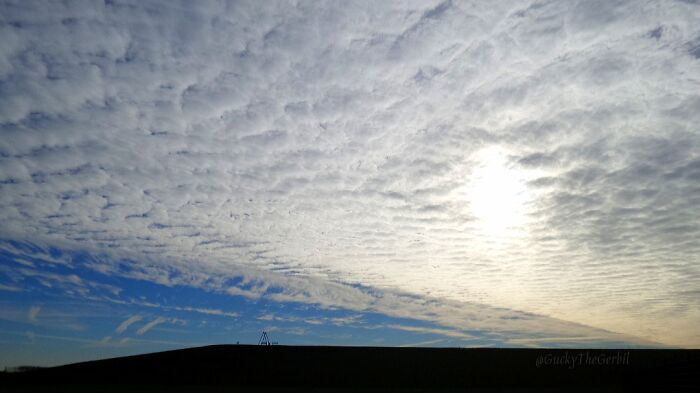 Hey Pandas, Share A Photo Of Whatever Makes You Happy Hey Pandas, Share A Photo Of Whatever Makes You Happy