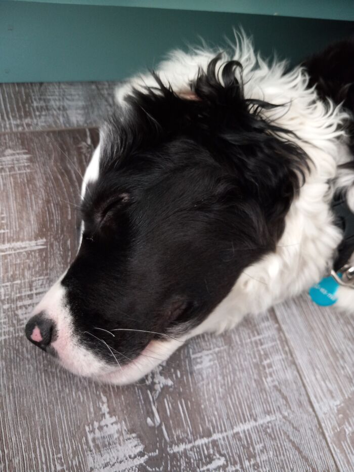 Hey Pandas, Share A Photo Of Whatever Makes You Happy Hey Pandas, Share A Photo Of Whatever Makes You Happy