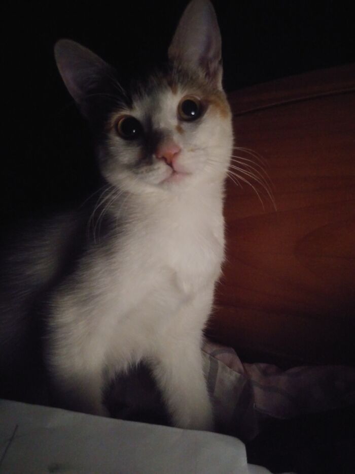 Hey Pandas, Share A Photo Of Whatever Makes You Happy Hey Pandas, Share A Photo Of Whatever Makes You Happy