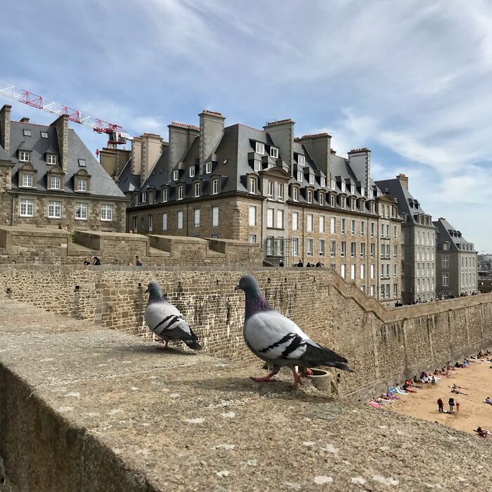 Hey Pandas, Share A Photo Of Whatever Makes You Happy Hey Pandas, Share A Photo Of Whatever Makes You Happy