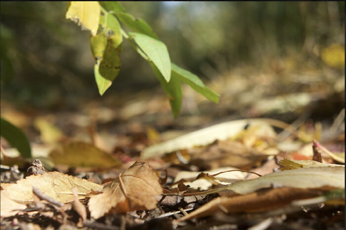 Hey Pandas, Share A Photo Of Whatever Makes You Happy Hey Pandas, Share A Photo Of Whatever Makes You Happy