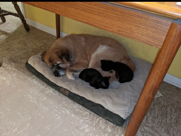 Hey Pandas, Share A Photo Of Whatever Makes You Happy Hey Pandas, Share A Photo Of Whatever Makes You Happy