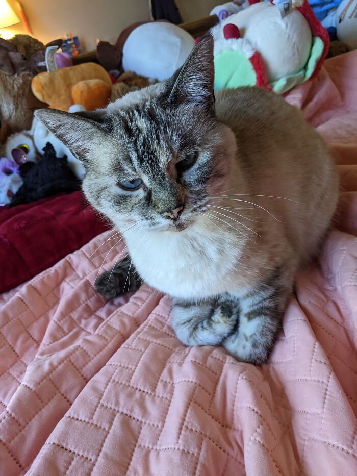 Hey Pandas, Share A Photo Of Whatever Makes You Happy Hey Pandas, Share A Photo Of Whatever Makes You Happy