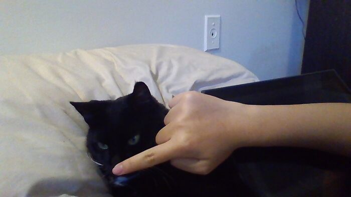 Hey Pandas, Share A Photo Of Whatever Makes You Happy Hey Pandas, Share A Photo Of Whatever Makes You Happy