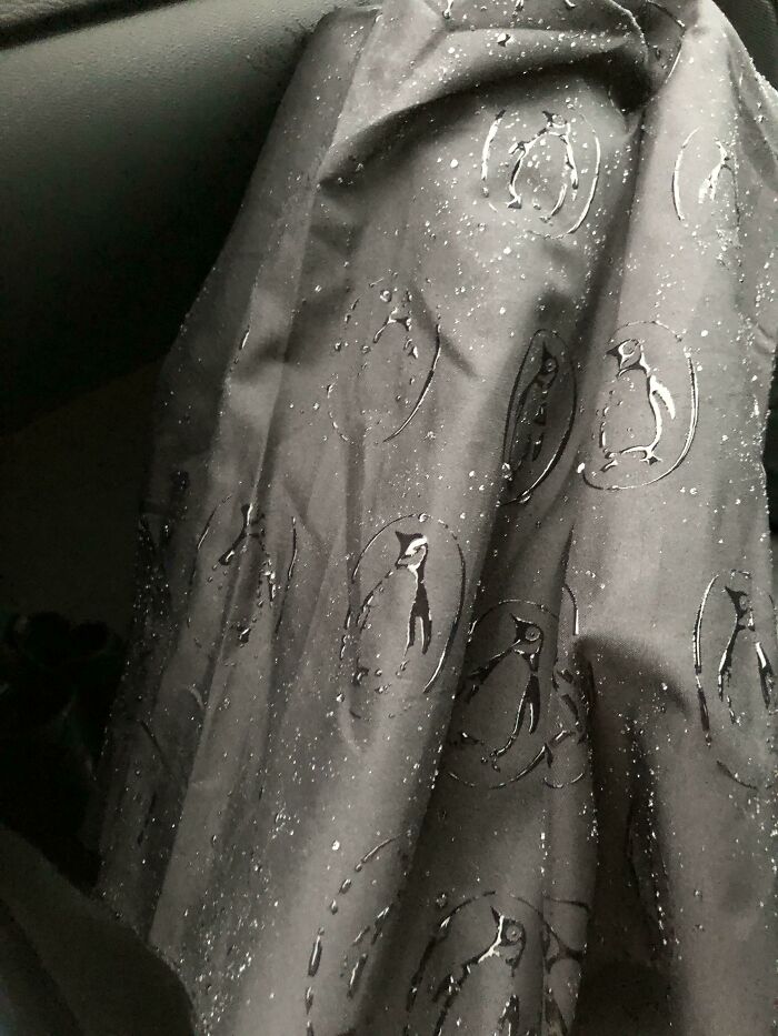 50 Genius Product Design Ideas That Genuinely Surprised People 50 Genius Product Design Ideas That Genuinely Surprised People